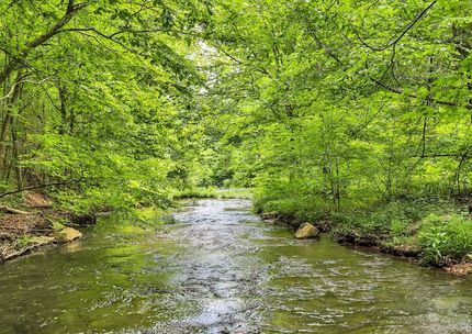 Undeveloped Land for sale in Williamson County, Tennessee
