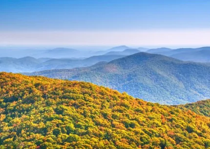 Recreational Property for sale in Fannin County, Georgia
