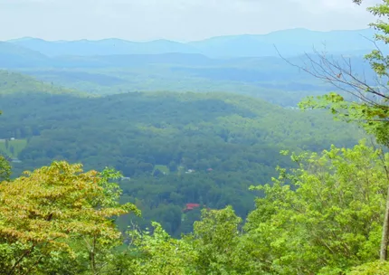 Recreational Property for sale in Fannin County, Georgia