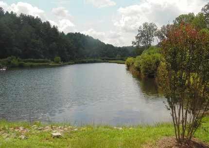Recreational Property for sale in Fannin County, Georgia