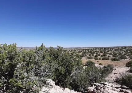 Undeveloped Land for sale in Apache County, Arizona