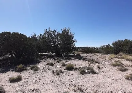 Undeveloped Land for sale in Apache County, Arizona