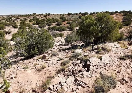 Undeveloped Land for sale in Apache County, Arizona