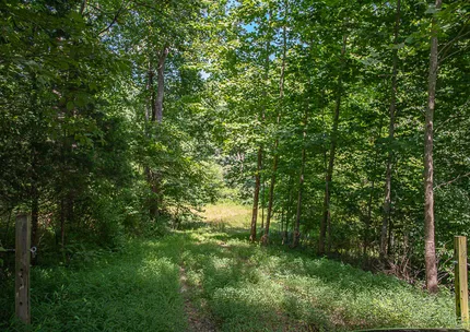 Riverfront Property for sale in Madison County, Virginia