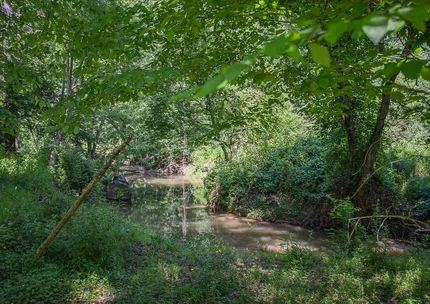 Riverfront Property for sale in Madison County, Virginia