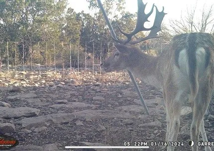Ranch Property for sale in Val Verde County, Texas