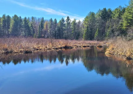 Riverfront Property for sale in Lewis County, New York