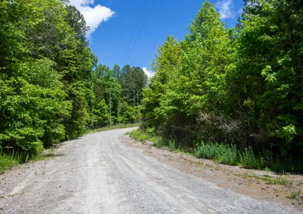 Riverfront Property for sale in Lunenburg County, Virginia