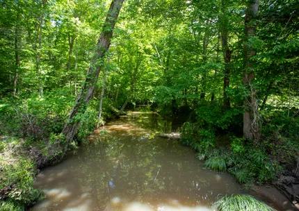 Riverfront Property for sale in Lunenburg County, Virginia