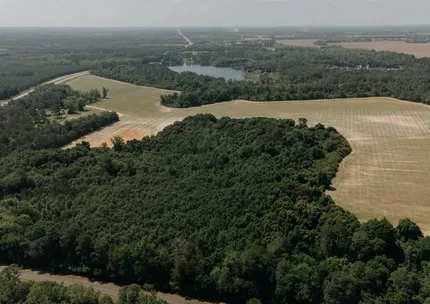 Undeveloped Land for sale in Thomas County, Georgia