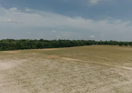 Undeveloped Land for sale in Thomas County, Georgia
