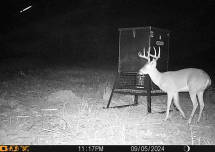 Hunting Land for sale in Van Zandt County, Texas
