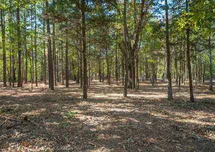 Hunting Land for sale in Van Zandt County, Texas