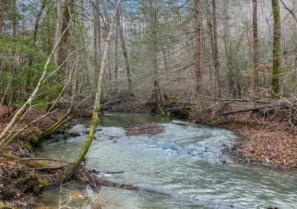 Recreational Property for sale in Scott County, Tennessee