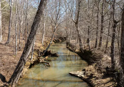 Riverfront Property for sale in Lunenburg County, Virginia