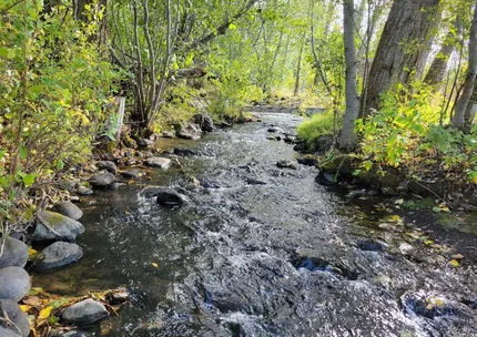 Undeveloped Land for sale in Gallatin County, Montana