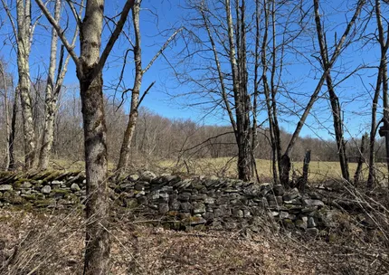 Riverfront Property for sale in Oneida County, New York
