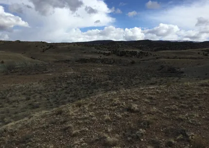 Undeveloped Land for sale in San Miguel County, Colorado