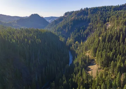 Undeveloped Land for sale in Clearwater County, Idaho