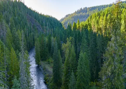 Undeveloped Land for sale in Clearwater County, Idaho