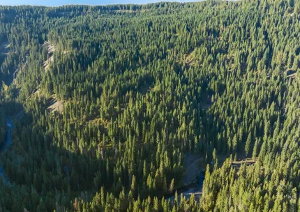 Undeveloped Land for sale in Clearwater County, Idaho
