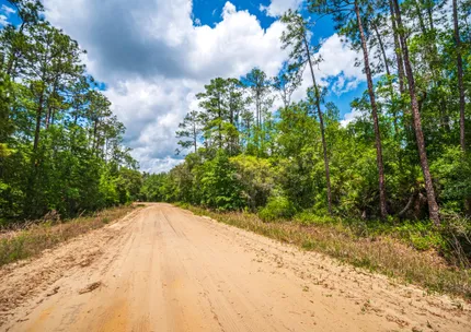 Undeveloped Land for sale in Putnam County, Florida