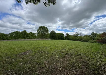 Undeveloped Land for sale in Dallas County, Missouri