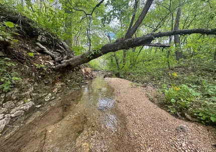 Undeveloped Land for sale in Dallas County, Missouri