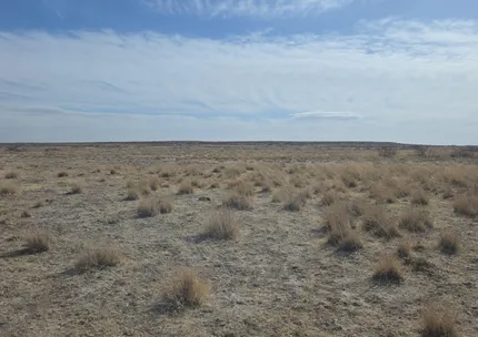 Residential Property for sale in Luna County, New Mexico