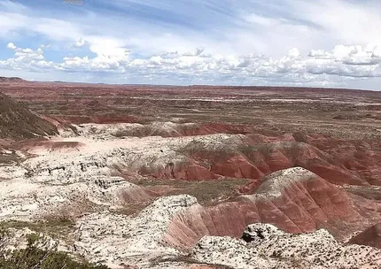 Undeveloped Land for sale in Apache County, Arizona