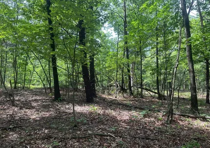 Undeveloped Land for sale in Hampshire County, West Virginia