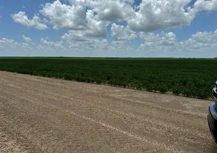 Property for sale in Catahoula Parish, Louisiana
