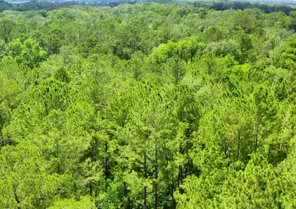 Property for sale in Putnam County, Florida