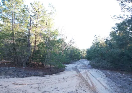 Recreational Property for sale in Putnam County, Florida