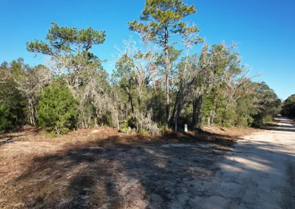 Recreational Property for sale in Putnam County, Florida