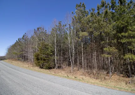 Undeveloped Land for sale in Franklin County, Virginia
