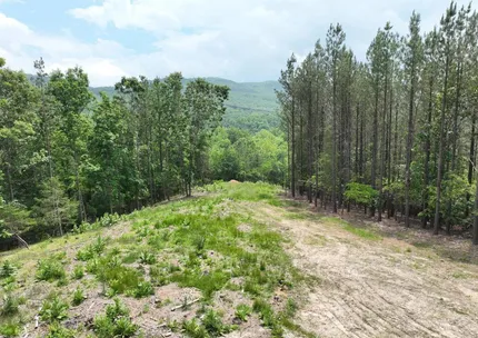 Undeveloped Land for sale in Hampshire County, West Virginia