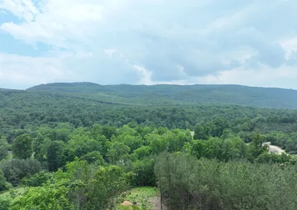 Undeveloped Land for sale in Hampshire County, West Virginia