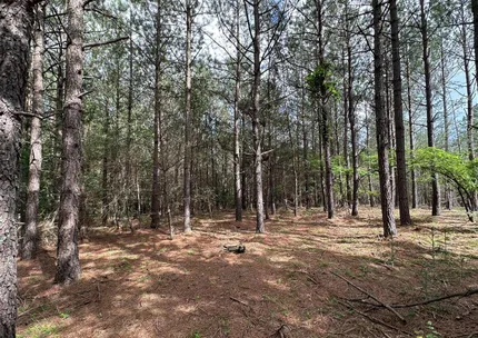 Undeveloped Land for sale in Hampshire County, West Virginia