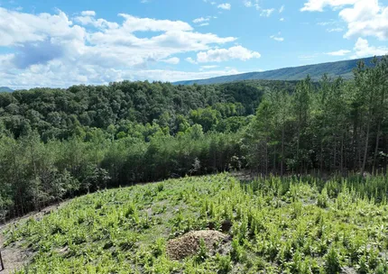 Undeveloped Land for sale in Hampshire County, West Virginia