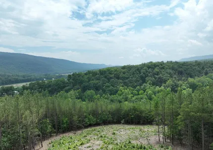 Undeveloped Land for sale in Hampshire County, West Virginia
