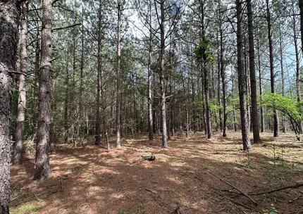 Undeveloped Land for sale in Hampshire County, West Virginia