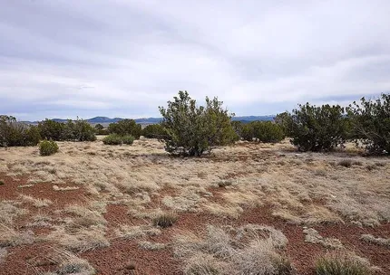 Property for sale in Apache County, Arizona