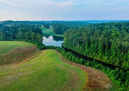 Riverfront Property for sale in Elbert County, Georgia