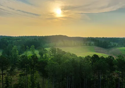 Riverfront Property for sale in Elbert County, Georgia
