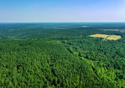 Riverfront Property for sale in Elbert County, Georgia