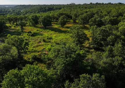 Ranch Property for sale in Young County, Texas