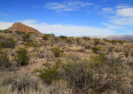 Undeveloped Land for sale in Hudspeth County, Texas