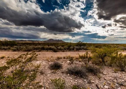 Undeveloped Land for sale in Hudspeth County, Texas