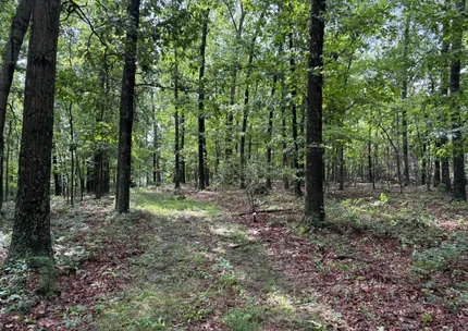 Undeveloped Land for sale in Hampshire County, West Virginia